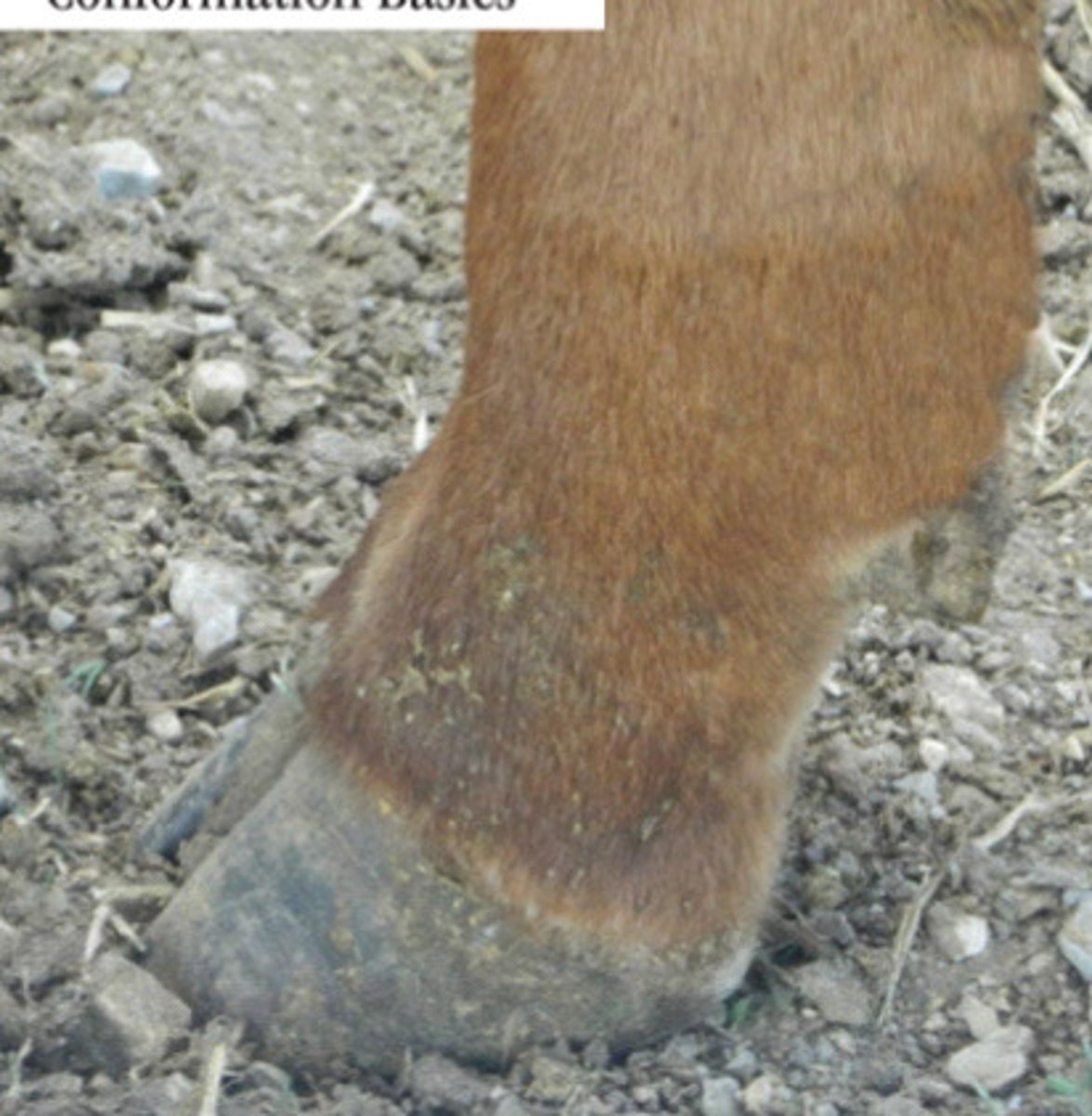 <p>Describe what you are seeing?</p>