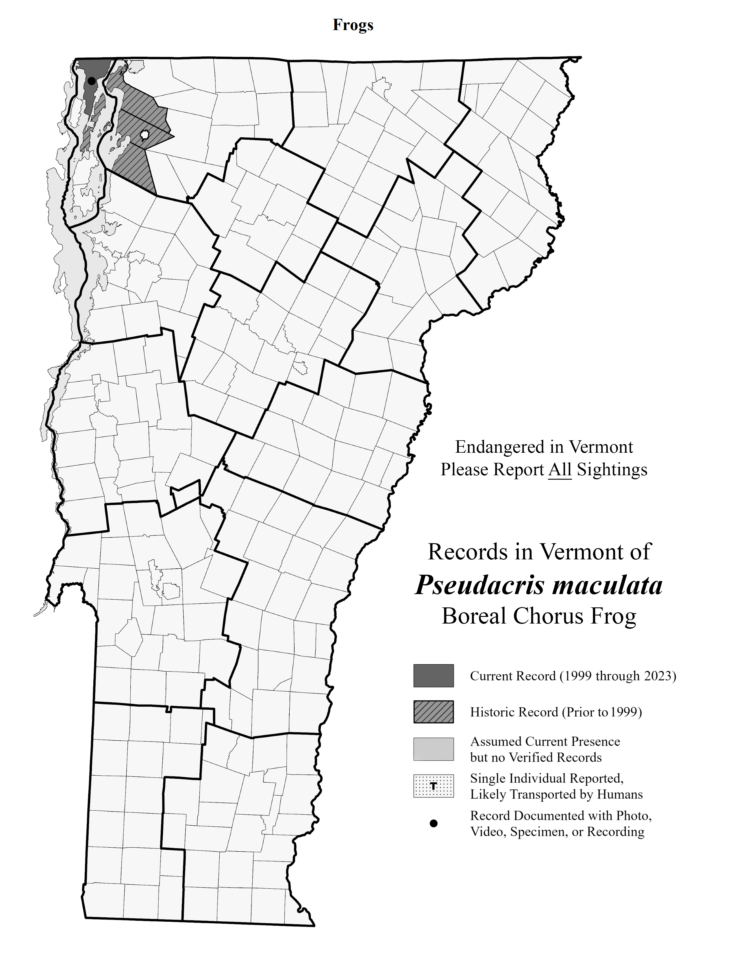 <p>Wet/grassy marshes, damp forests, breed in shallow still water, frogsicle brumation, only found in Northwest corner of VT (S1)</p>