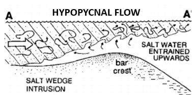 <p><span>When ρ jet &lt; ρ ambient (e.g. sluggish, low suspended load entering salt water), the jet detaches from the bed</span></p><p><span>Cannot drive the bedload</span></p><p><span>Suspended load carried out to the shelf, or reworked by tide and wave processes</span></p>