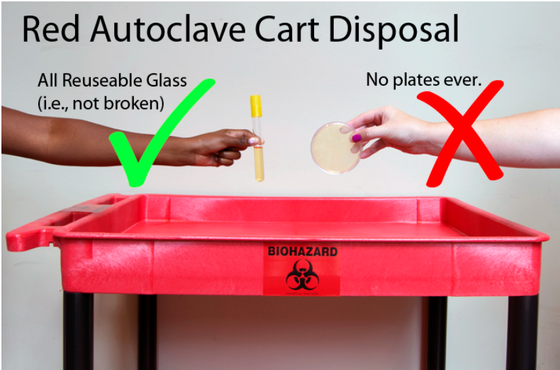 <p>red autoclave cart</p>
