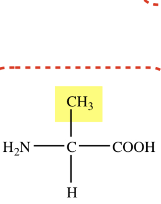 METHYL R GROUP