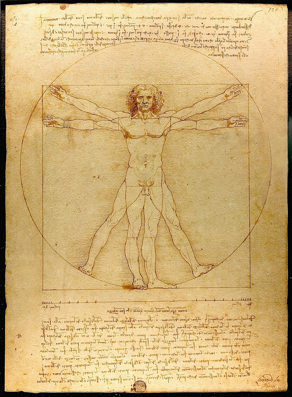 <p>Leonardo da Vinci </p><p>c. 1940 </p>
