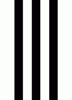 <p><strong><em>noun</em></strong></p><p>a line on a surface that is a different color from the rest of the surface:</p><p>e.g</p><p><em>The zebra is a wild African horse with black and white _____.</em></p><p><em>She was wearing a dress which had vertical _____on it.</em></p>