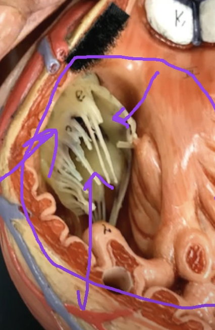 <p>What is this?</p>