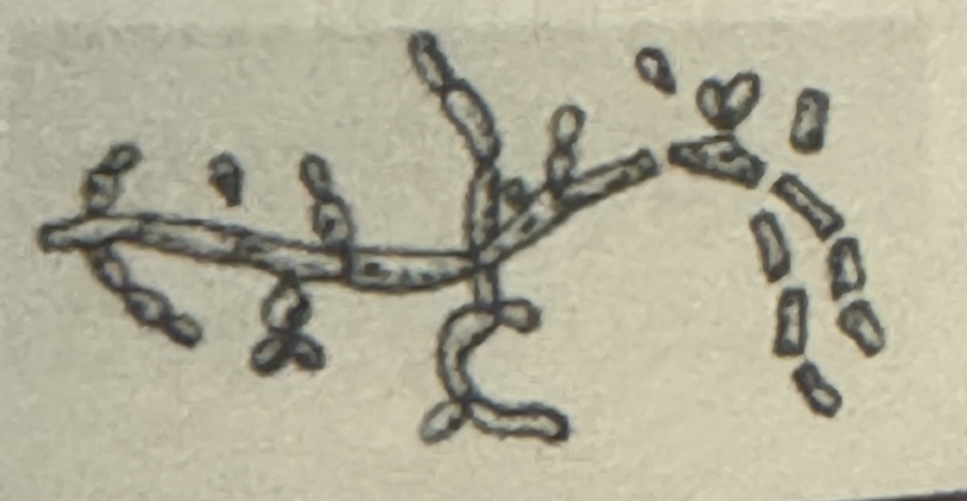 <p><span>what is illustrated</span></p>