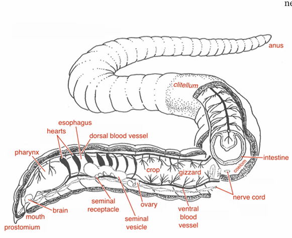 <p>What is this showing?</p>