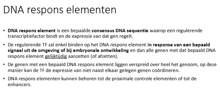 <p>DNA respons elementen kunnen behoren tot de prxomale controle elementen pf de enhancers/silencers</p>