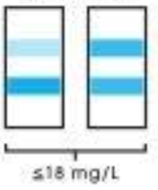 <p>Interpret microalbumin readings:</p><p><span>Equal band colors</span></p>