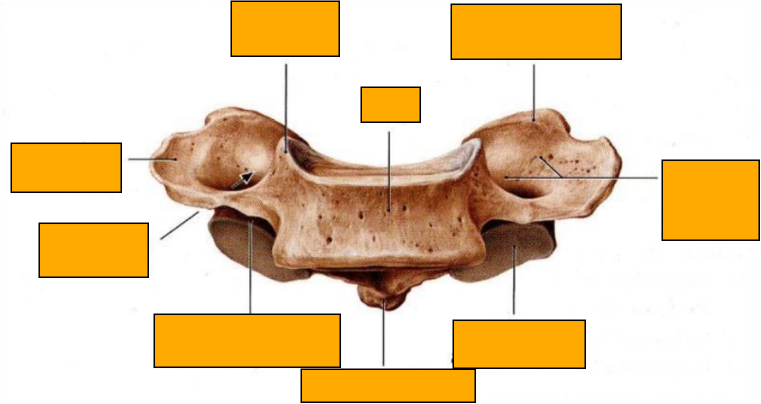 <p>Label clockwise</p>