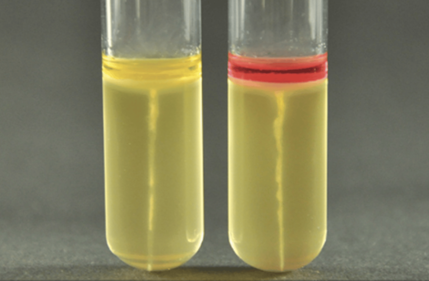 <p>What is this?</p>