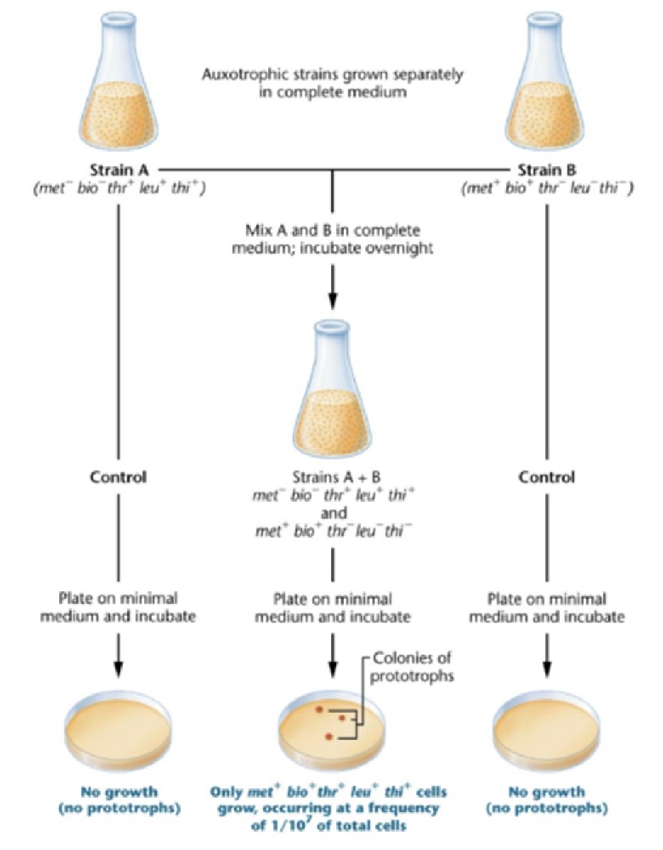 <p>physical contact</p><p>-U tube experiment</p>