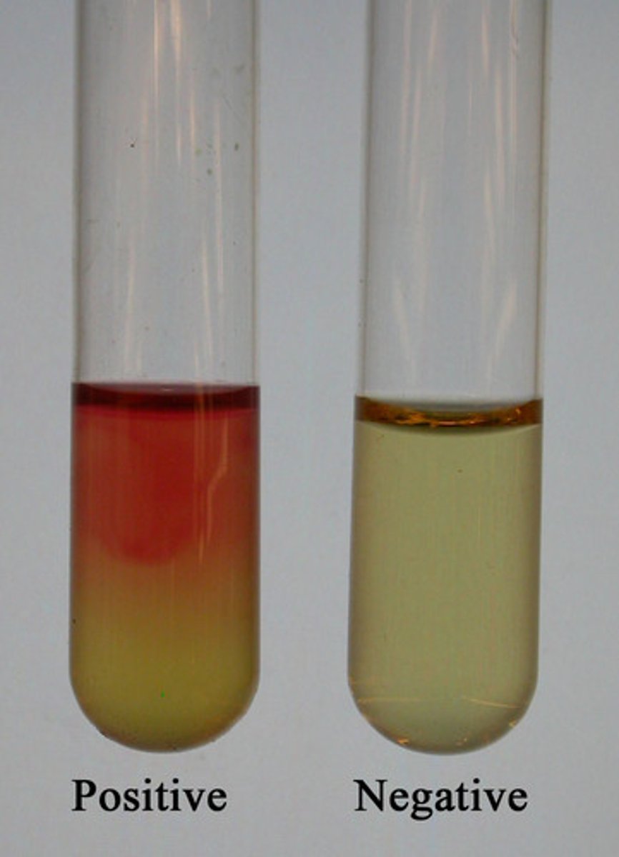<p>sugar (glucose), alpha-naphtol, potassium hydroxide (KOH)</p>