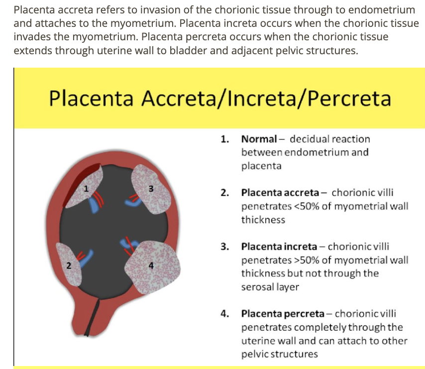 <p>a) placenta increta </p>