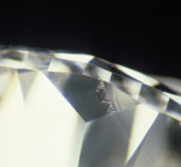 <p>What blemish is this?</p>