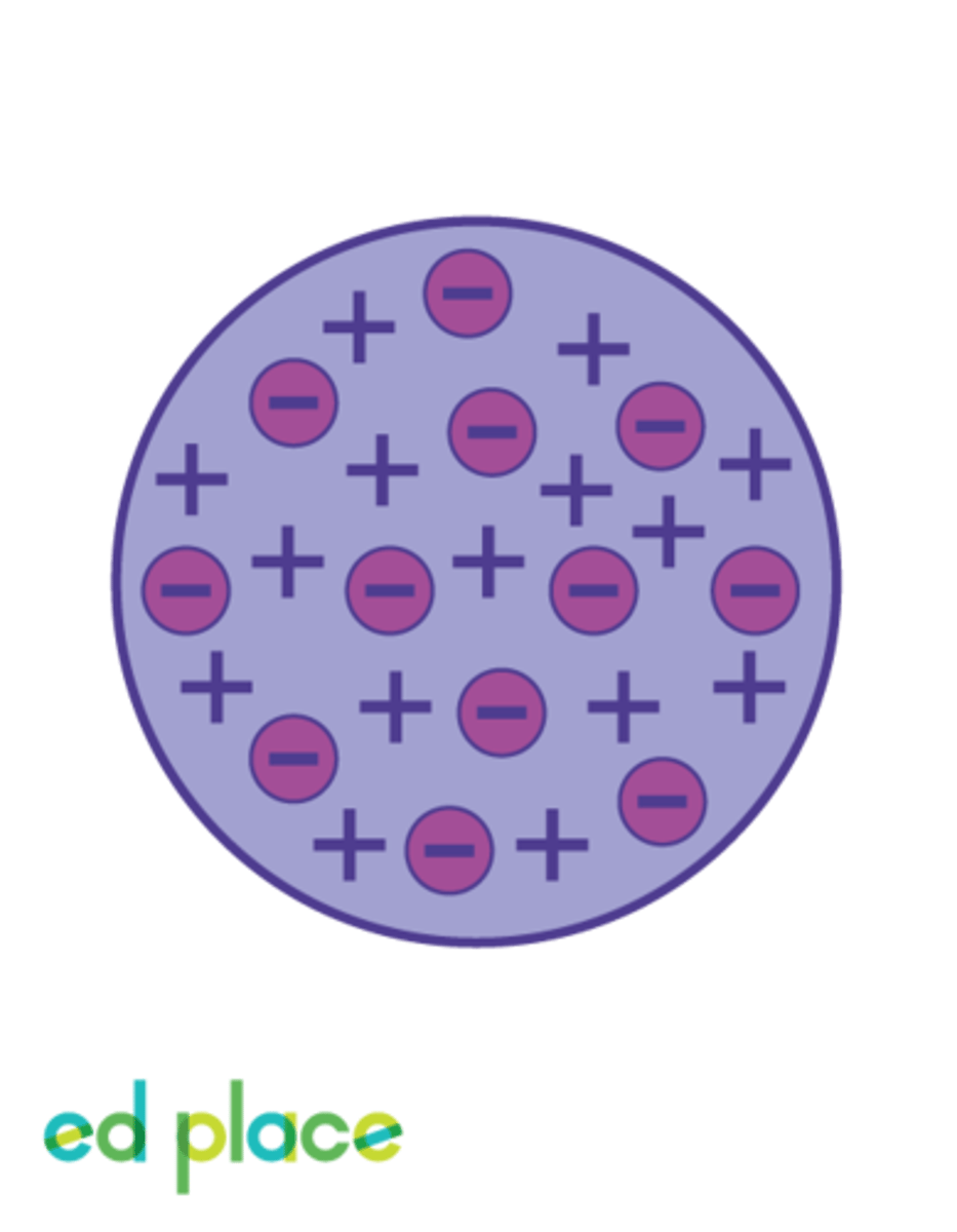 <p>Showing atomic structure, this theory held that the negatively charged electrons in an atom were floating - sometimes moving - in a sea of positive charge - the electrons being akin to plums in a bowl of pudding</p>
