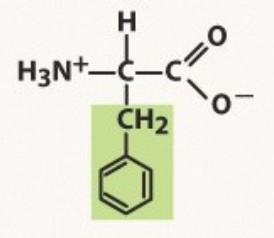 Aromatic
-phenyl is a hydrocarbon ring