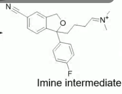 <p>Amines donate their electrons to the molecule converting themselves into positively charged imines </p>