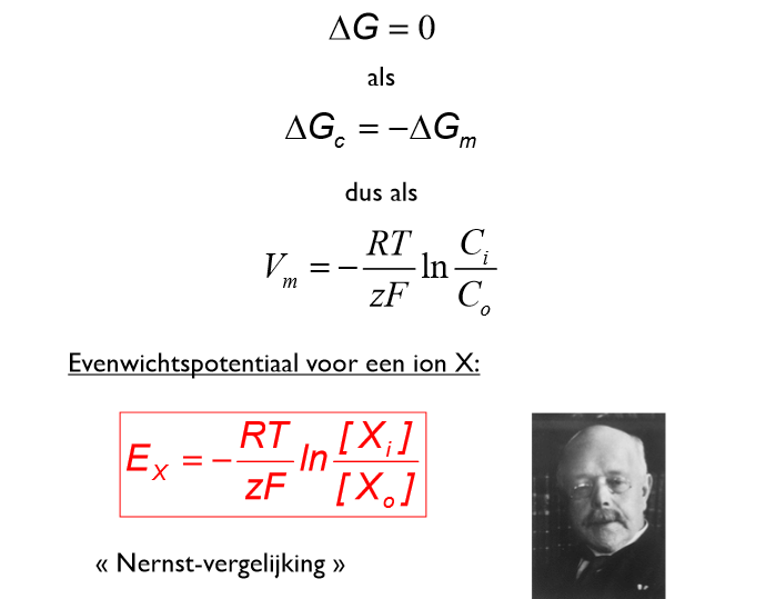 <p>→ Nernst-vergelijking</p><p></p>