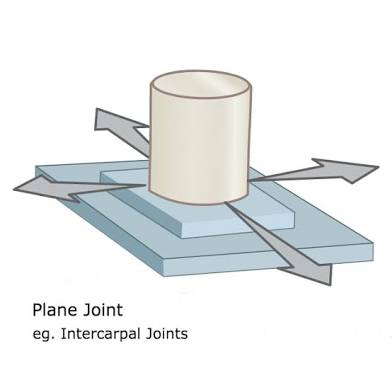 <p>Composed of the articulation between two relatively flat boney surfaces. <strong>Limited motion allowed</strong>. Sliding and rotating allowed in many directions. (ex: Intracarpal joints of hand)</p>
