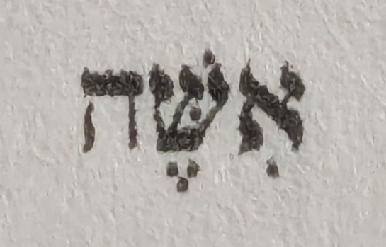term image