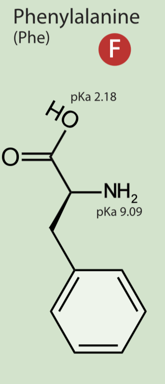 <p>non polar hydrophobic AROMATIC </p>