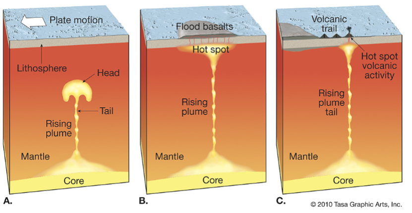 Interior loses heat to the crust (same concept with volcanos or movement of plaques) *In Mars, since don't have plaques, loose its heat with volcanos*
