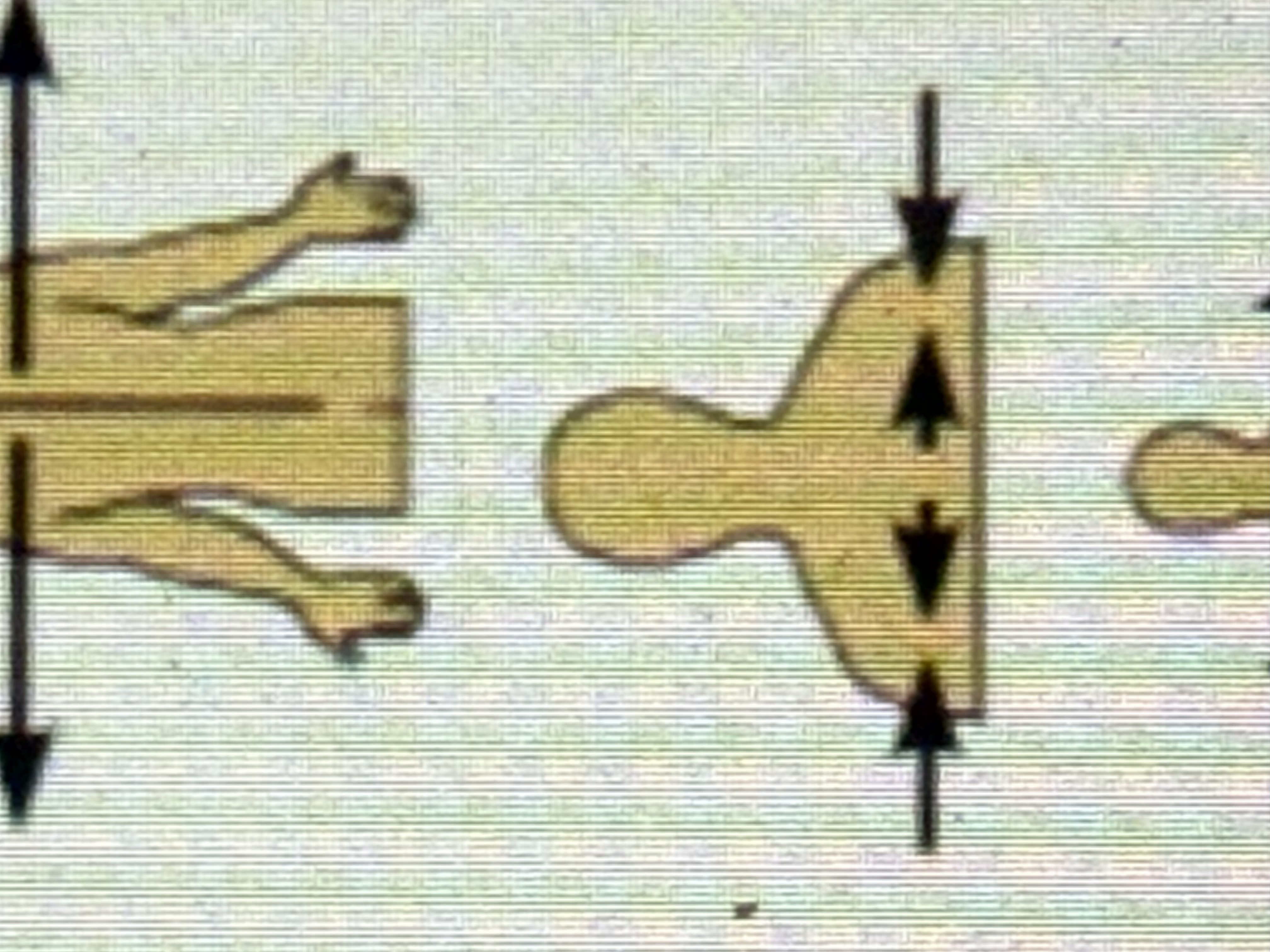<p>Between a more medial and a more lateral structure. Ex: The collarbone is intermediate between the beastbone and shoulder</p>