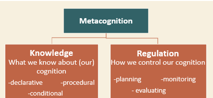 <p>Knowledge about oneself as a learner and factors influencing learning.</p>