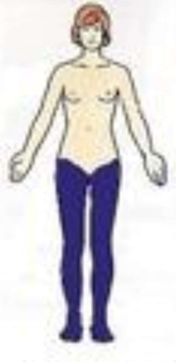 <p>On both sides of the body</p><p>Ex) The eyes are bilateral structures.</p>