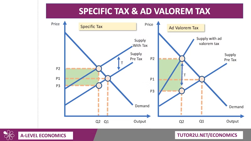 <p>Why are they both shaped like that?</p>