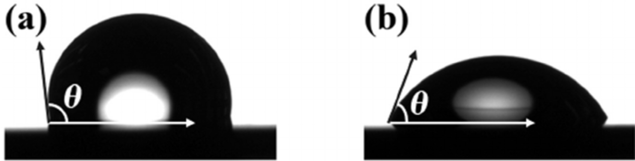 <p>which material is more hydrophilic and why?</p>