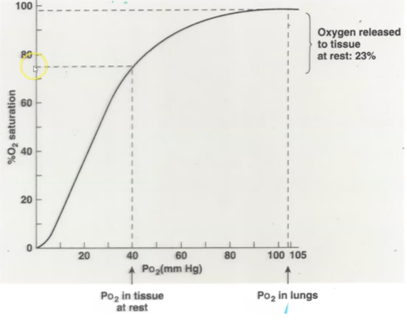 <p>when O2 saturation is at 77 - 75%</p>