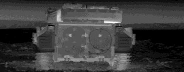 term image
