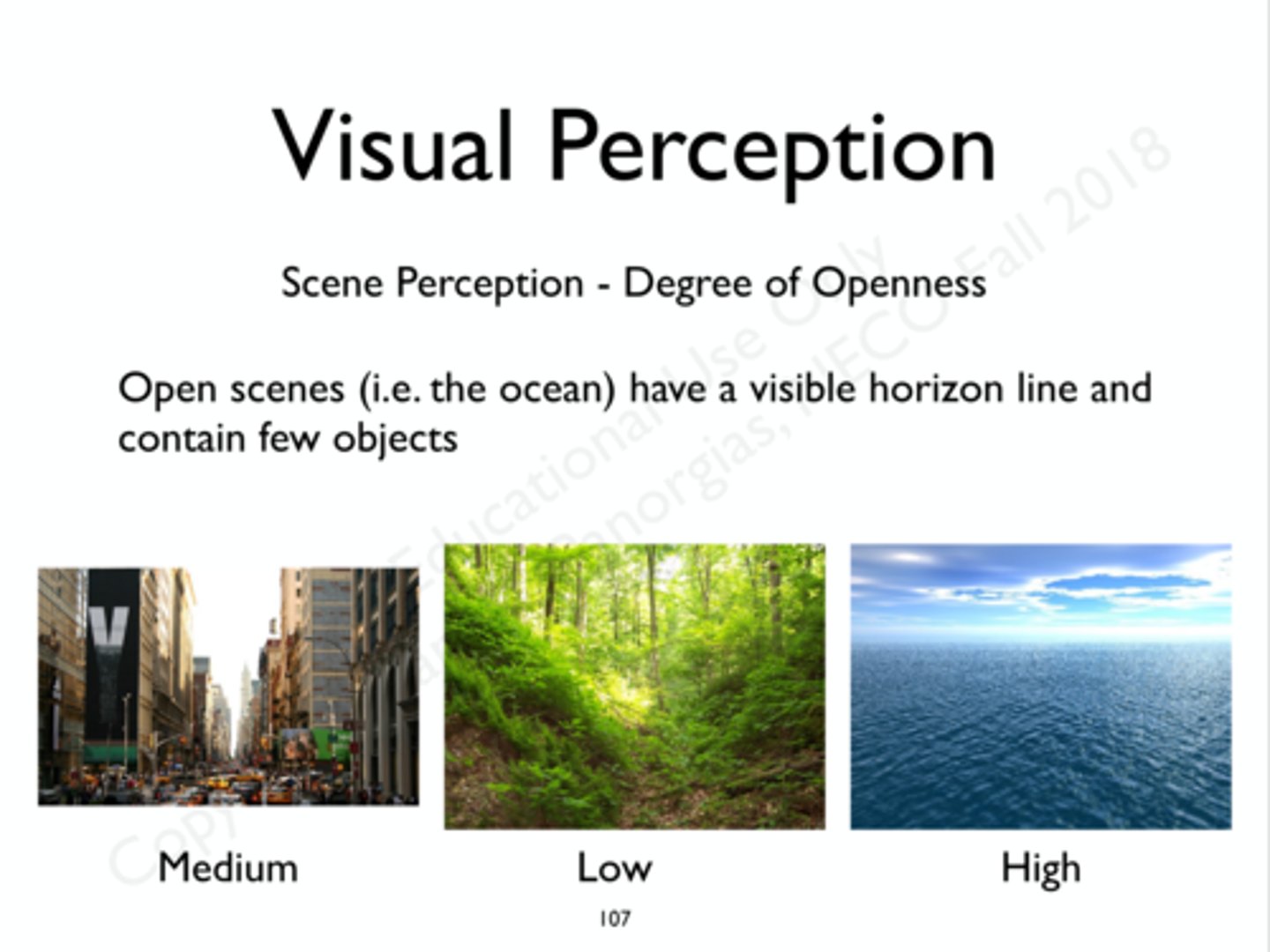 <p>Open scenes (oceans) often have a visible horizon line &amp; contain fewer objects. The forest is an example of a scene with a low degree of openness.</p>