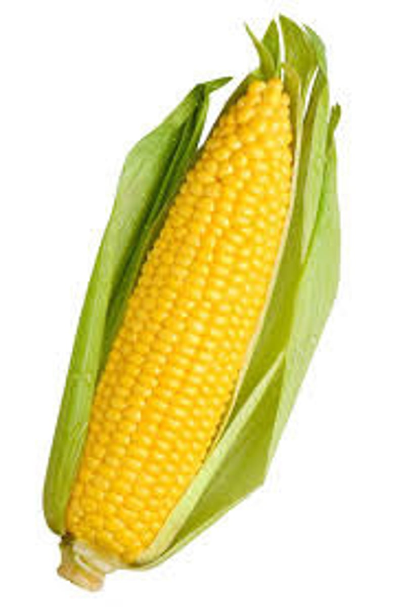 <p>кукуру́за</p>