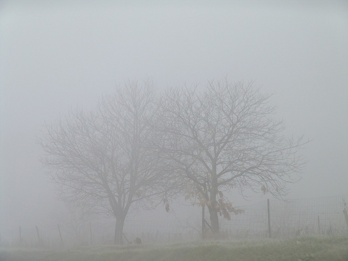 <p>Fog</p>