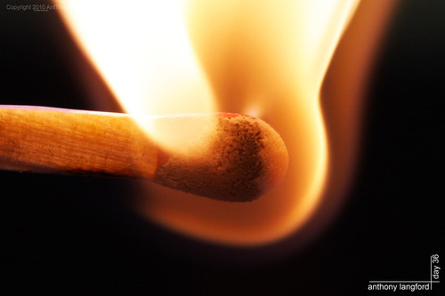 <p>Burning a substance as a fuel (wood, fossil fuels) releases CO2 into the atmosphere.</p>