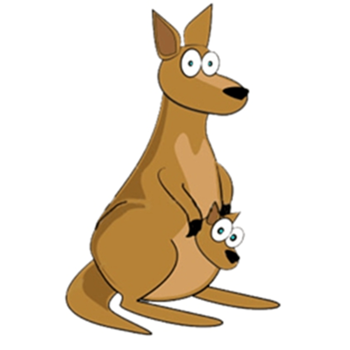 <p>kangaroo</p>