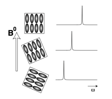 <p>single crystals:</p><p>= all molecule have the same orientation w.r.t. applied field = equivalent anisotropy = single shift</p>