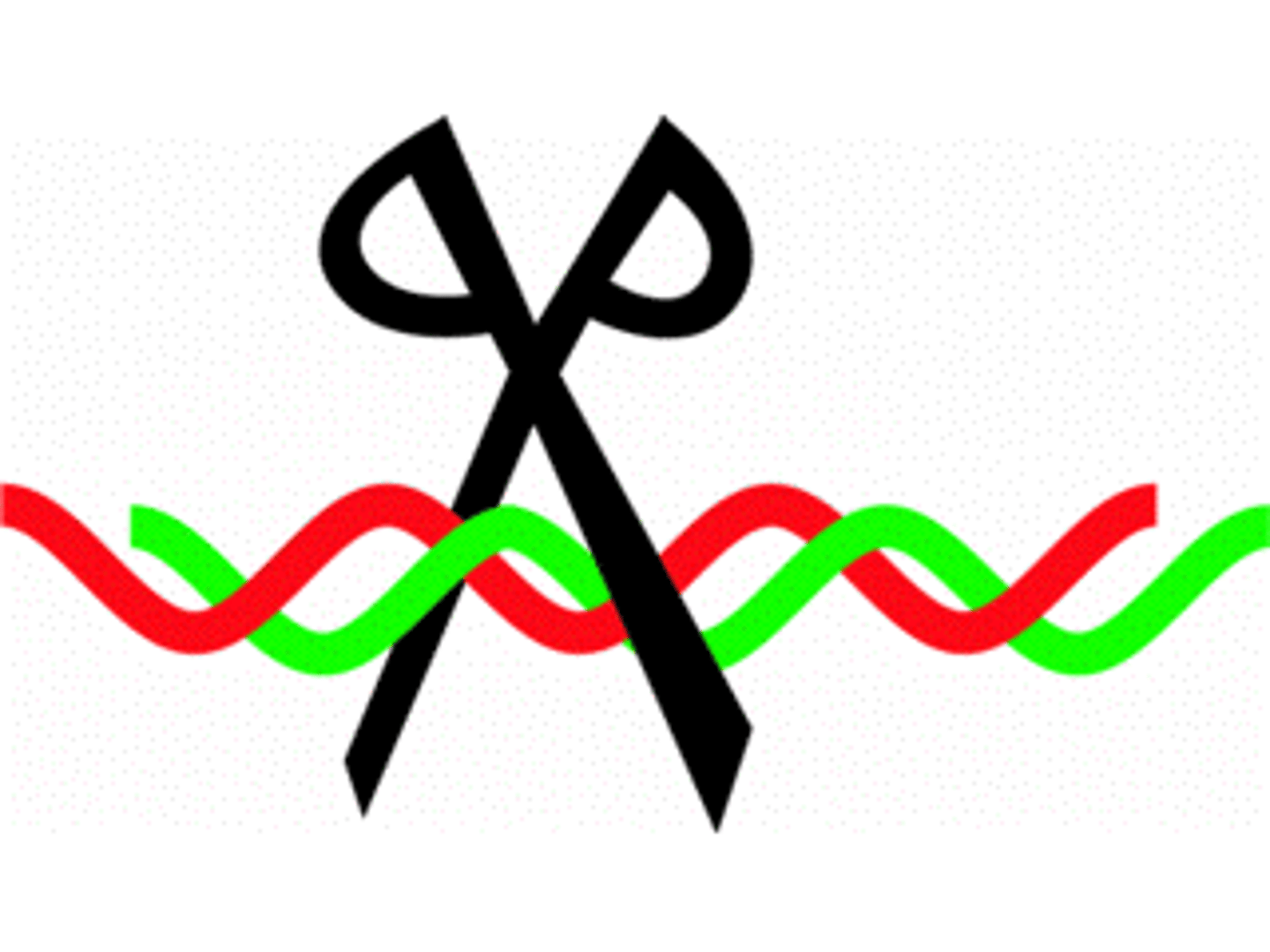 <p>A degradative enzyme that recognizes specific nucleotide sequence and cuts up DNA</p>