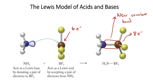 <ul><li><p><span style="background-color: transparent;">Physioabsorption → absorption by IMFs</span></p></li><li><p><span style="background-color: transparent;">Chemisorption → formation of chemical bonds&nbsp;</span></p></li></ul><p><span style="background-color: transparent;">* indicator → HIn = conj. A, :In- = conj :B&nbsp;</span></p>
