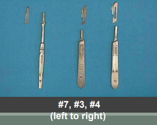 <p>Used to cut superficial tissue. </p>