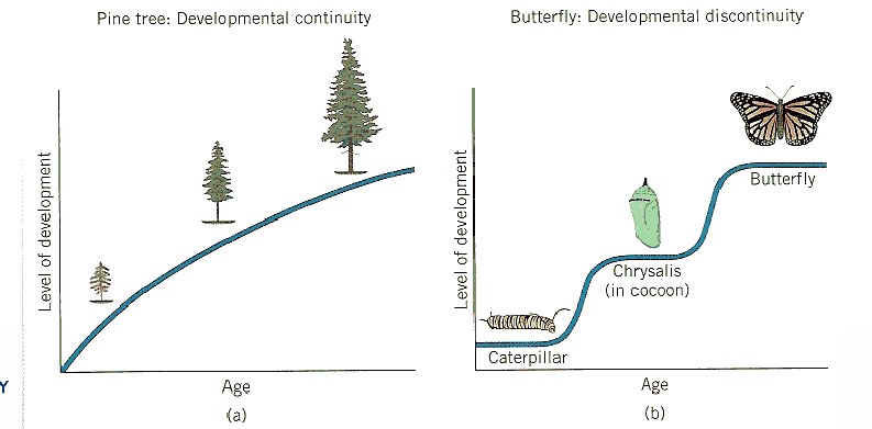 <p>How does development take place:</p><ul><li><p>In a <strong>continuous</strong> way: do individuals become <em>quantitatively</em> more/better/faster.</p></li><li><p>In a <strong>discontinuous</strong> way: do individuals develop <em>qualitatively</em> different abilities at different times (at distinct stages). </p></li></ul><p></p>