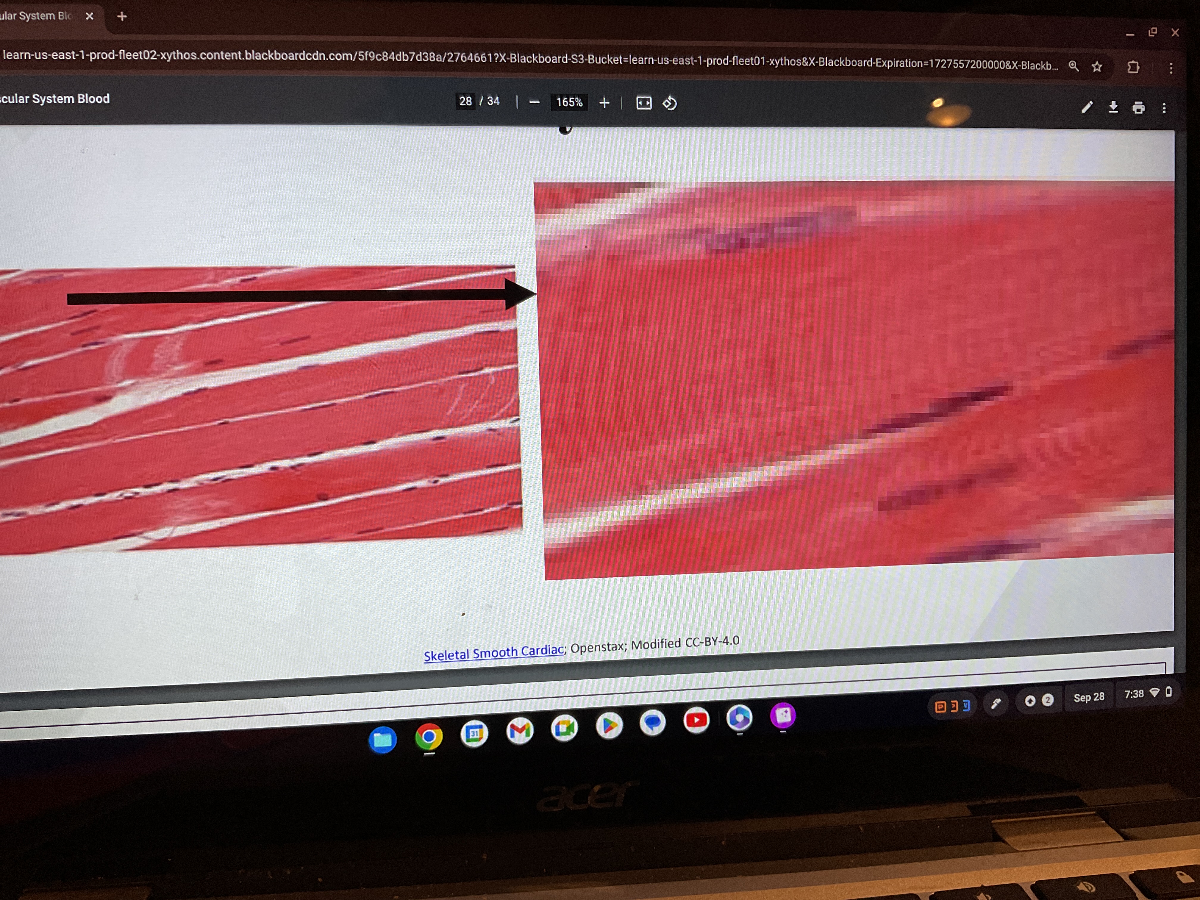 knowt flashcard image