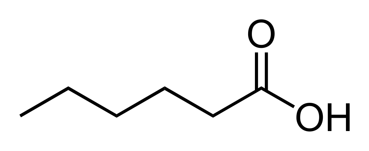 <p>hexaanzuur</p>