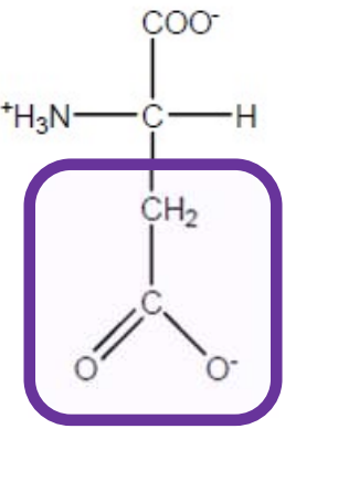 <p>Asp-D-polar and negatively charged </p>