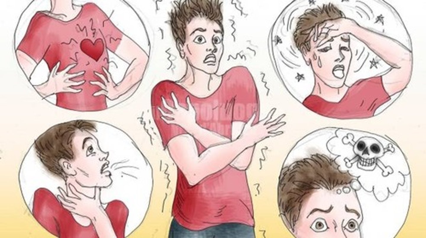 <p>panic attack</p>