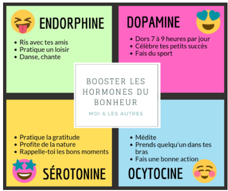 <ul><li><p>Endorphine : sensation de bien-être (surtout déclenché par les sports). Héroine = stimule bcp endorphine</p><ul><li><p>Pour contrer le stress, l’hypophyse et l’hypothalamus, 2 glandes situées dans le cerveau, sécrètent une hormone que l’on appelle ENDORPHINE. Il s’agit d’un neurotransmetteur ayant des propriétés analgésiques équivalentes à celles que procure la morphine. Ainsi, une sensation de bien-être se fait ressentir dans tout le corps lorsque cette hormone est sécrétée</p></li></ul></li><li><p>Voir image ci-dessous</p></li></ul><p></p><p></p>