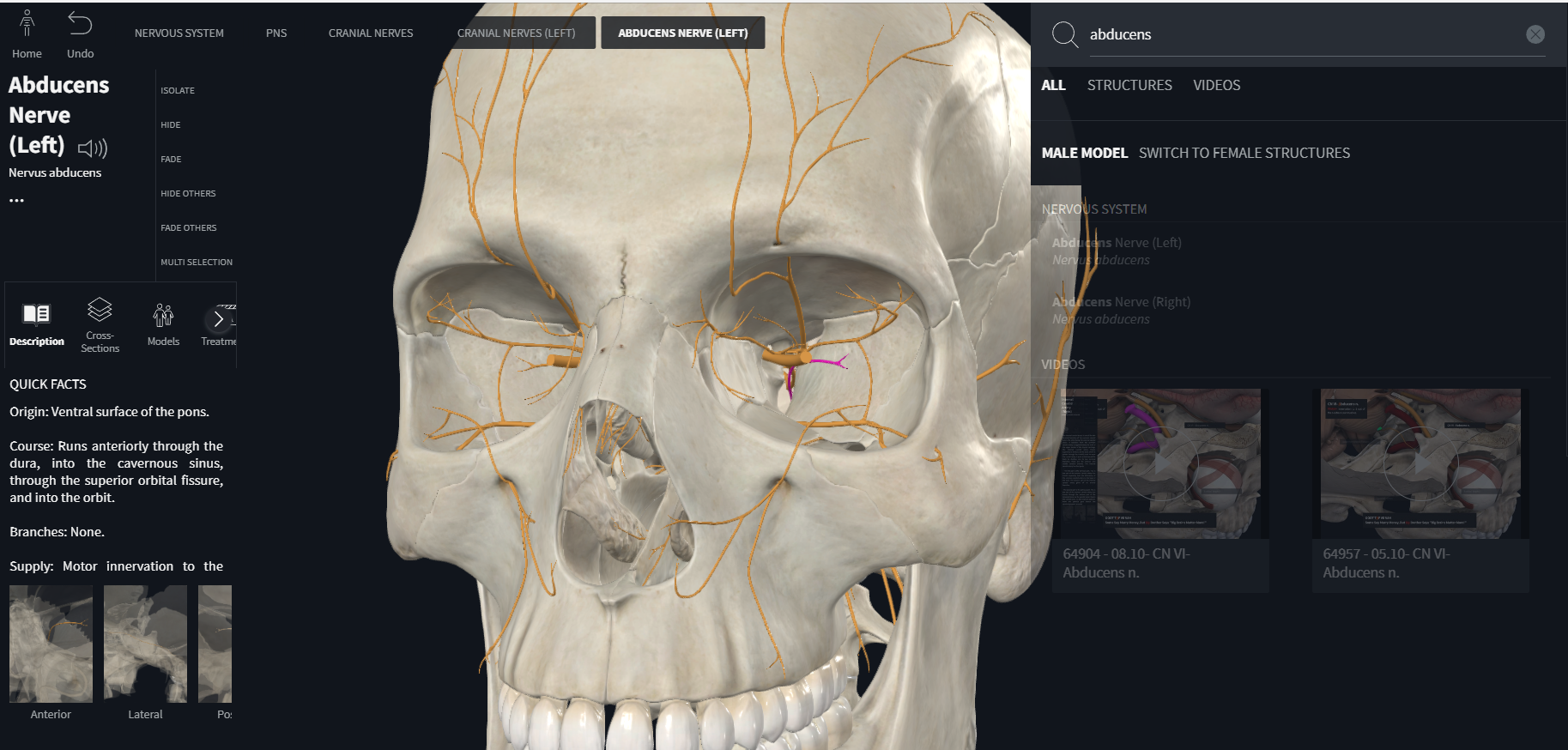 <p>Abducent (abducens) (VI)</p><p>part of central nervous system from which nerve enters or emerges</p><p>general function types of fibers</p><p>general distribution</p>