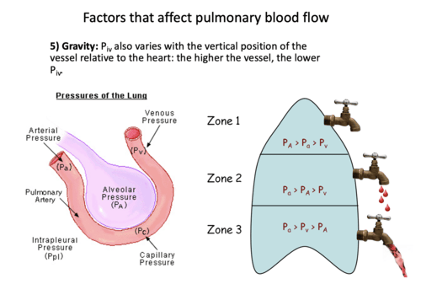<p>Lower</p>
